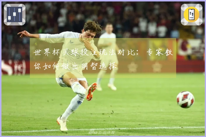 世界杯买球投注玩法对比：专家教你如何做出明智选择