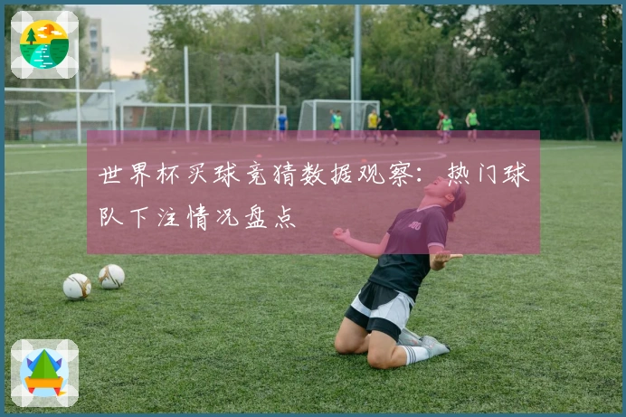 世界杯买球竞猜数据观察：热门球队下注情况盘点
