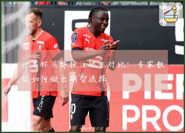 世界杯买球投注玩法对比：专家教你如何做出明智选择