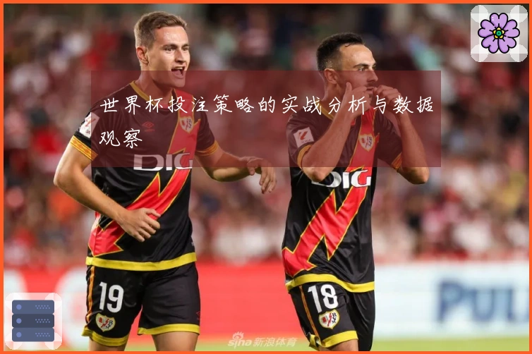 世界杯投注策略的实战分析与数据观察