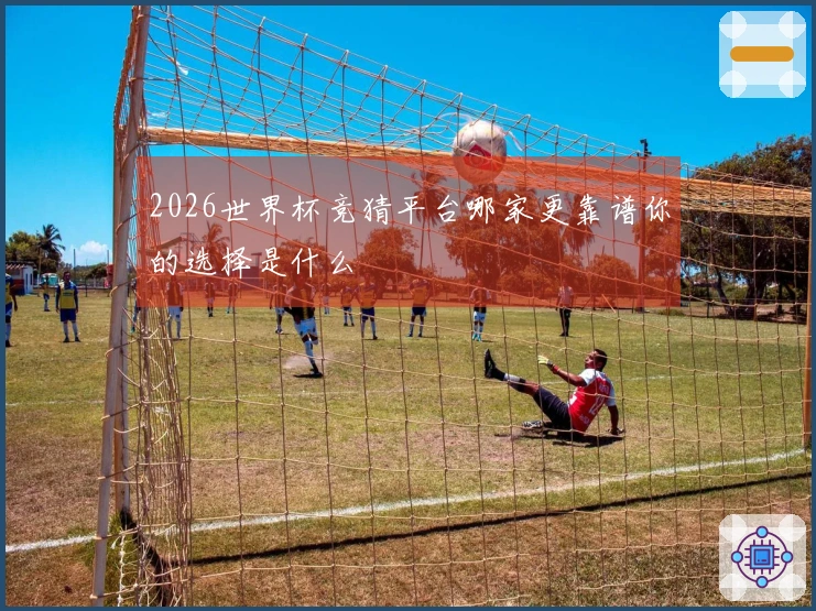 2026世界杯竞猜平台哪家更靠谱你的选择是什么